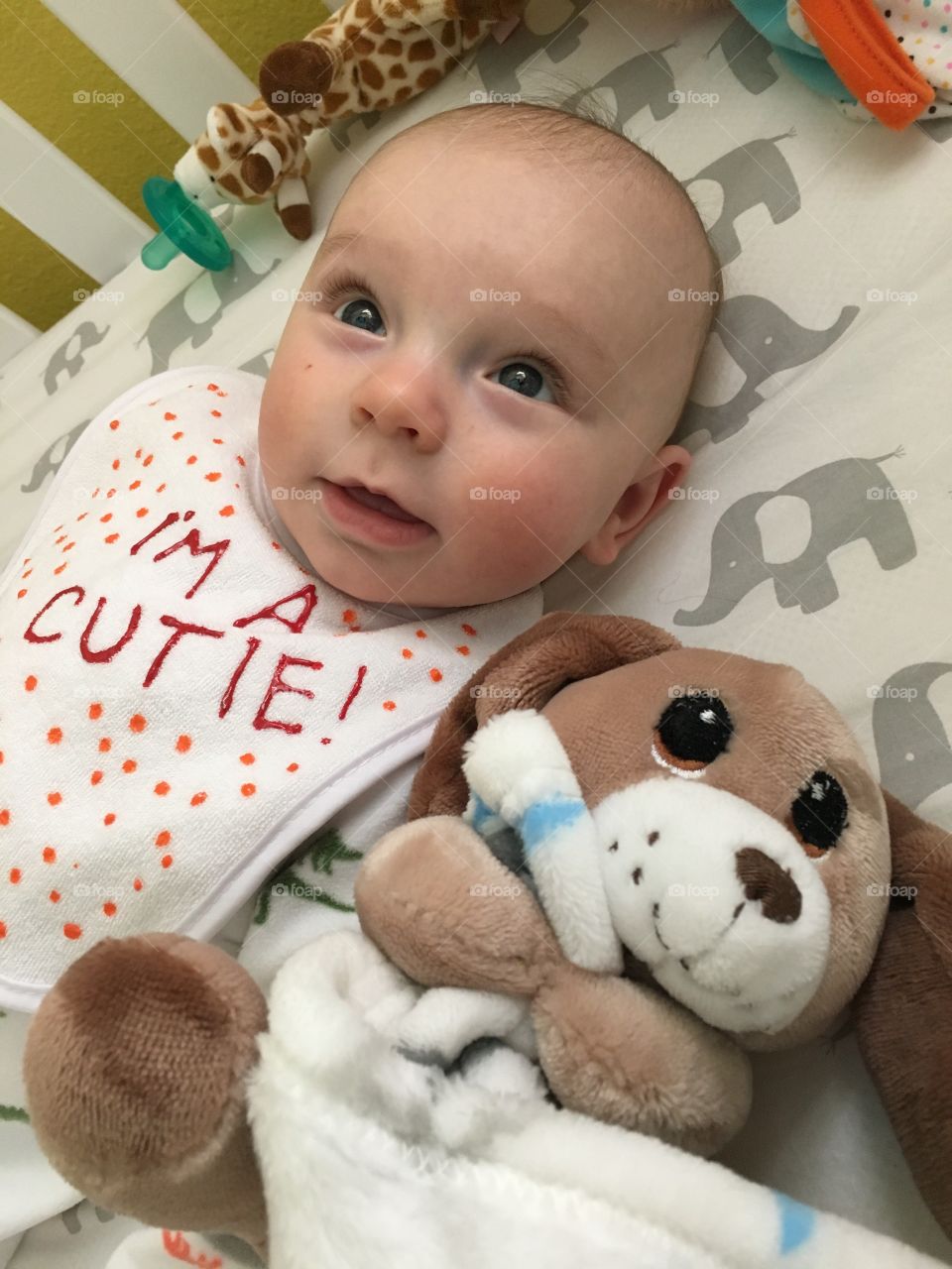 Portrait of a cute baby with soft toy