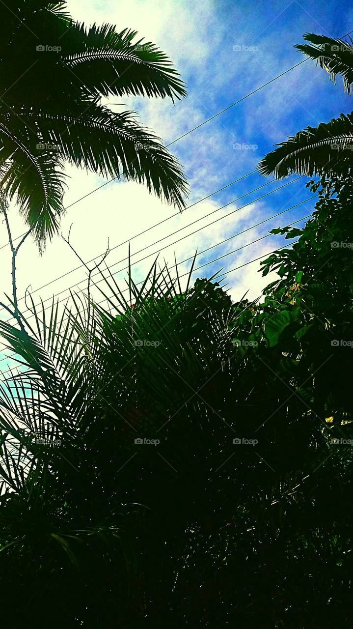 Edson Nilsen 👣 🇬‌🇪‌🇳‌🇹‌🇪‌ 🇲‌🇪‌ 👣 🇸‌🇪‌🇬‌🇺‌🇪‌👣 🇵‌🇴‌🇷‌ 🇫‌🇦‌🇻‌🇴‌🇷‌  👣 ‌👣