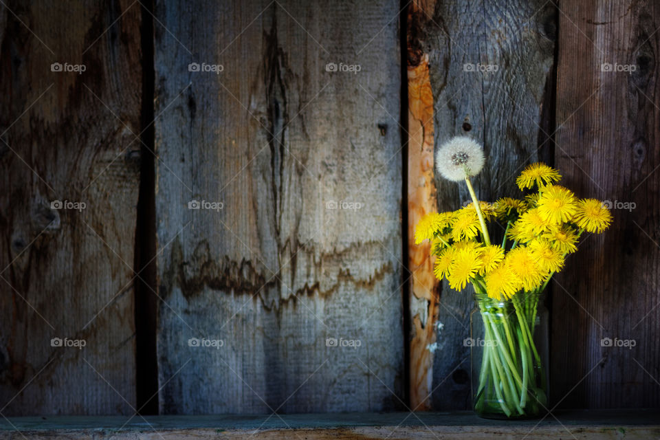 Bouquet of yellow dandelions