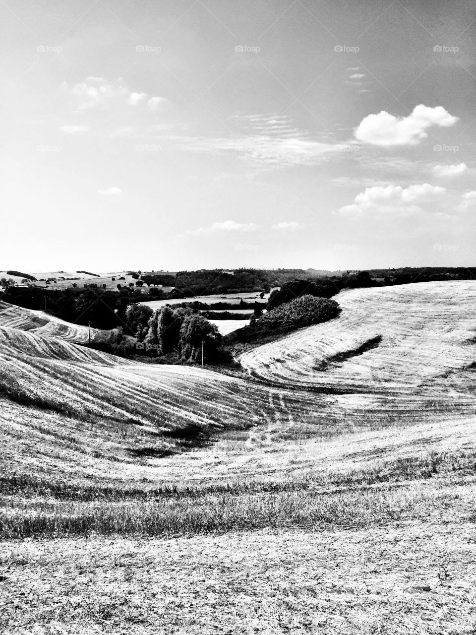 Tuscany landscape black and  
