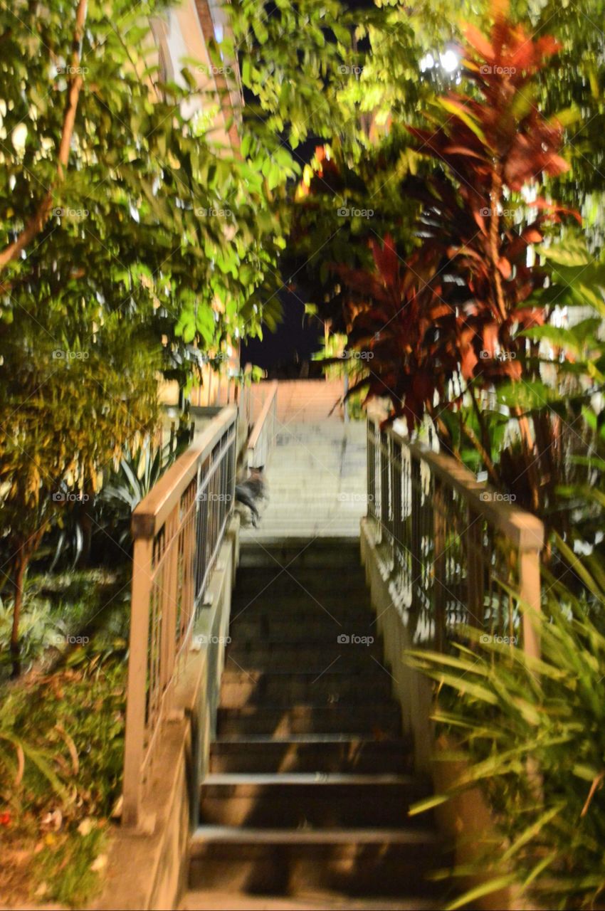 Morro da Conceição RJ