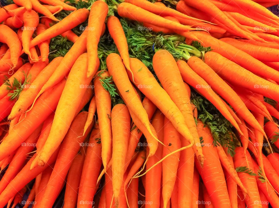 Carrots. Heap of fresh carrots for sale at the farmers market in summer.