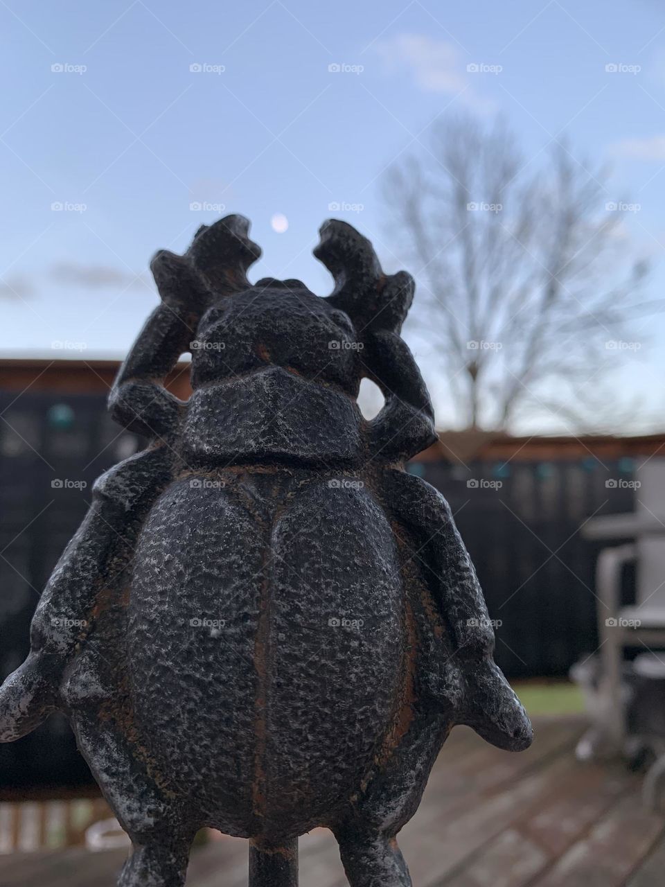 Ironwork Beetle reaches for the moon. The moon, however, is just a bit out of reach. 