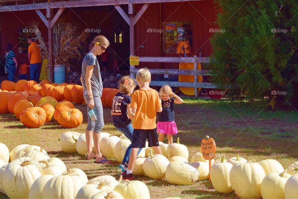 Family picking out a Pumpkin