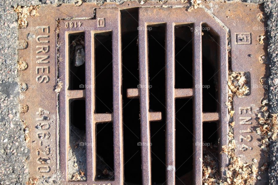 Important part of the world 