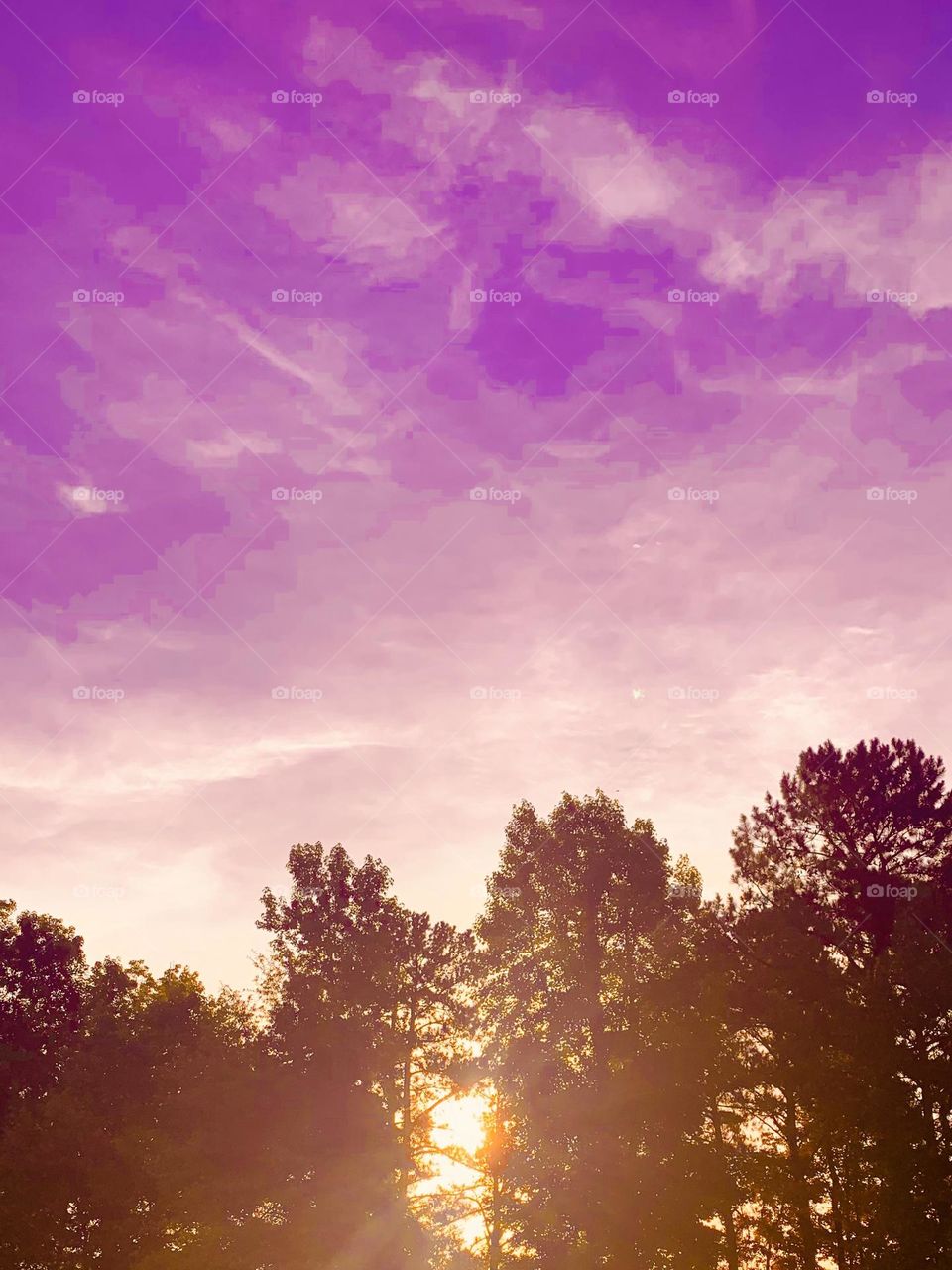 Purple sky