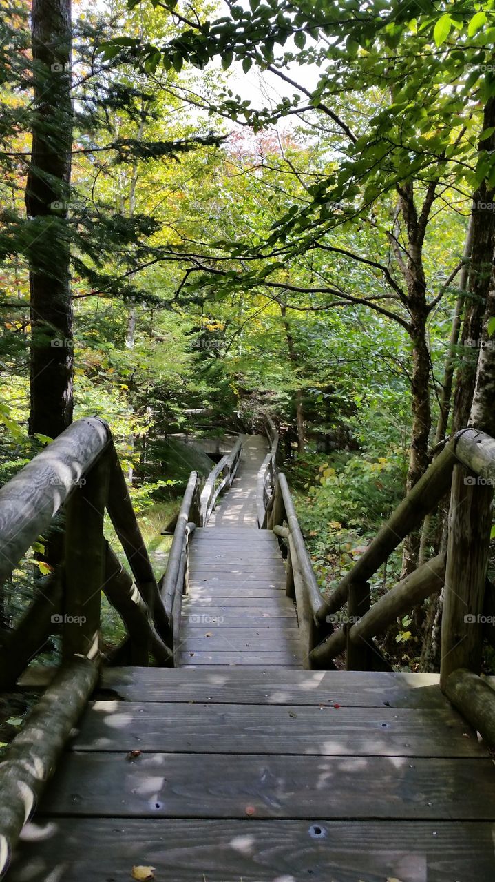 Vanishing Stairway