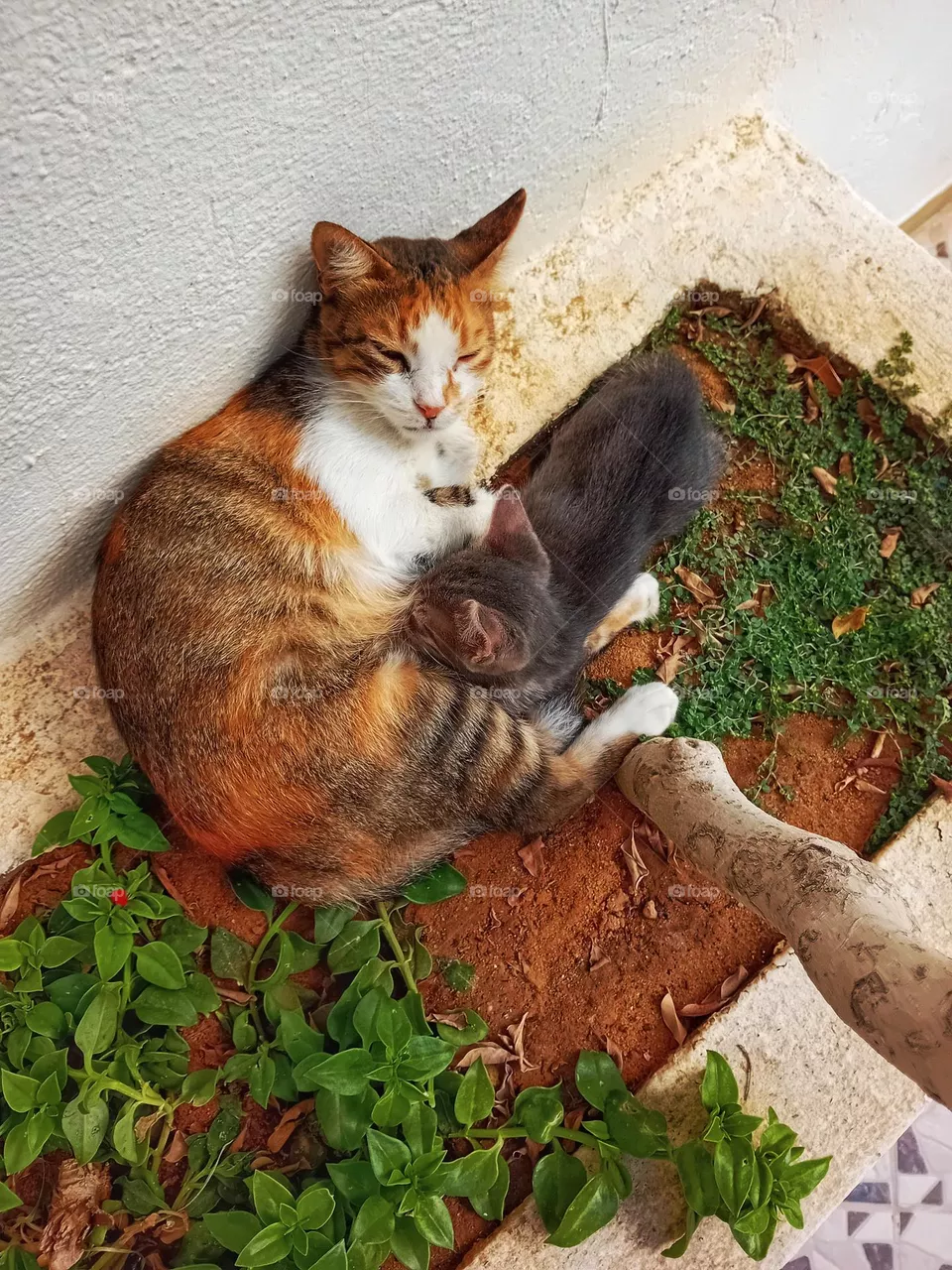 Mother and son
