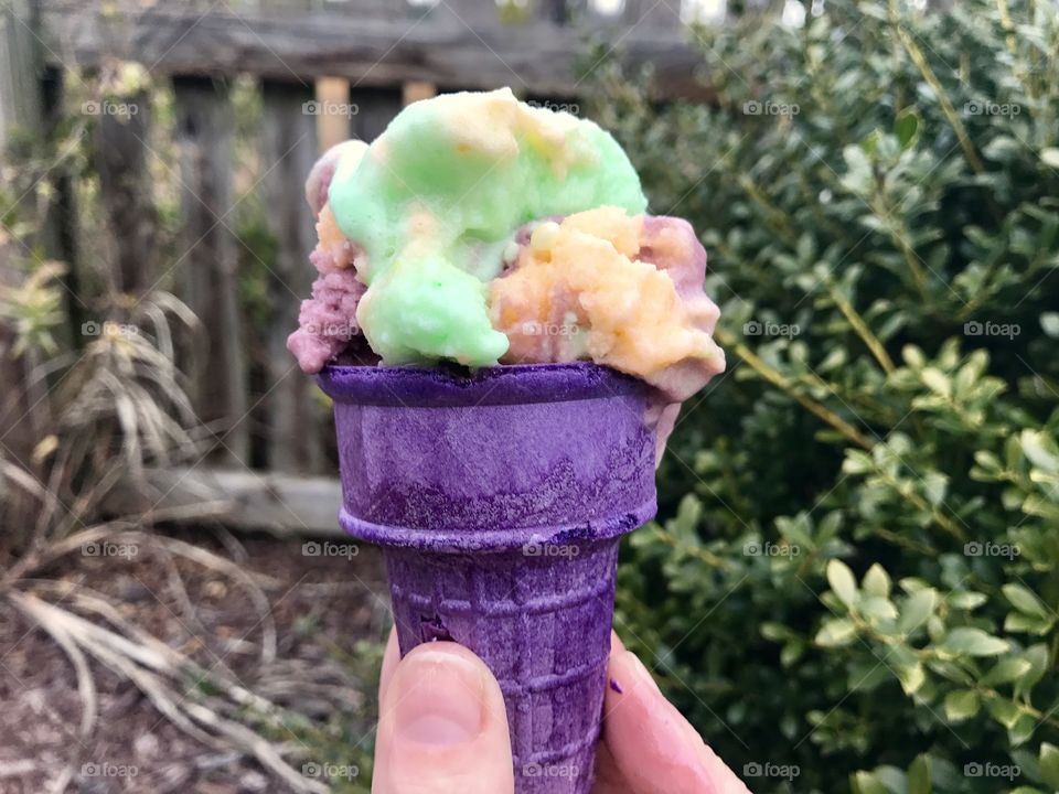 Sherbet, Purple Cone & Hand