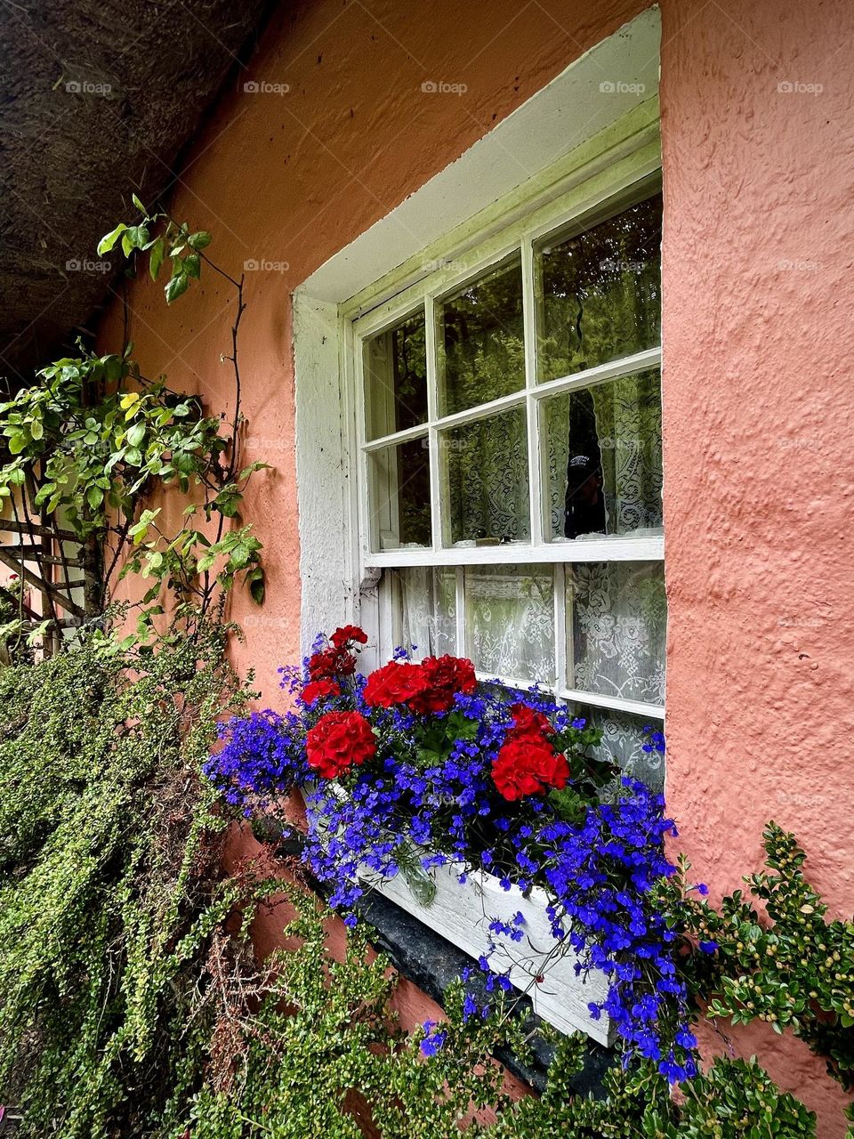 Spring flowers bloom from the flower box outside a window in Ireland.