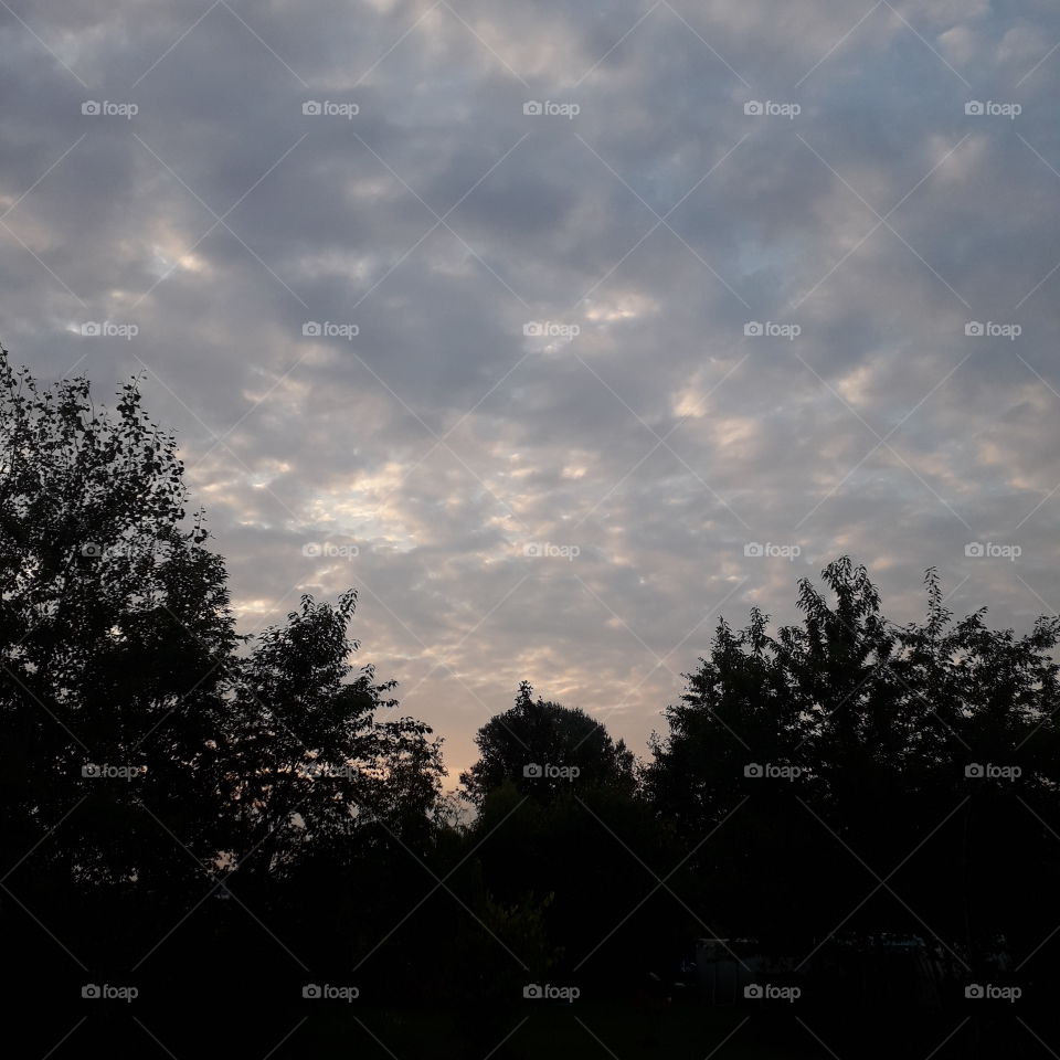 sky and coloured clouds at autumn sunrise with trees silhouette