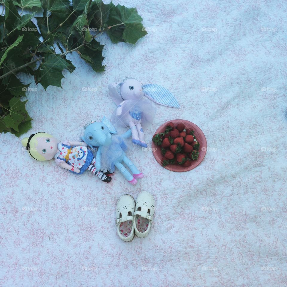 Waiting for the white rabbit