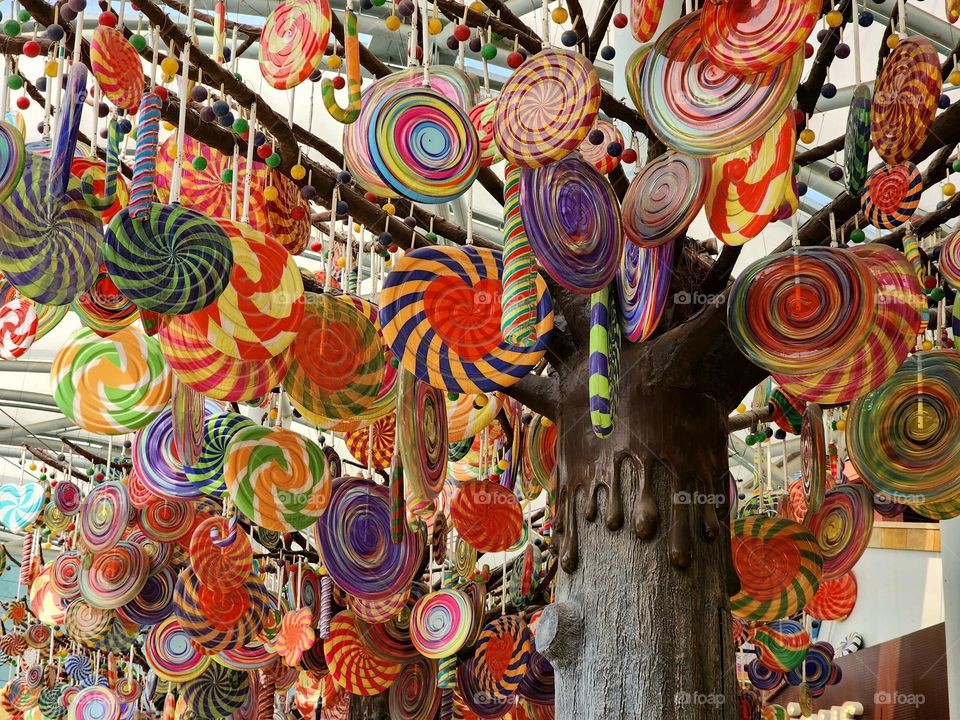candy tree