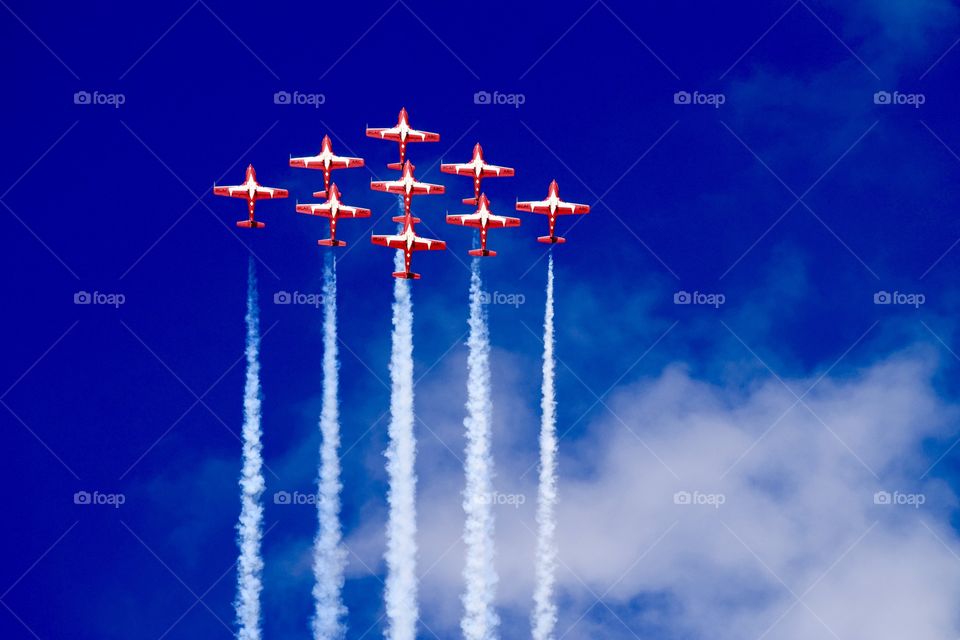 Snowbirds at the Airshow