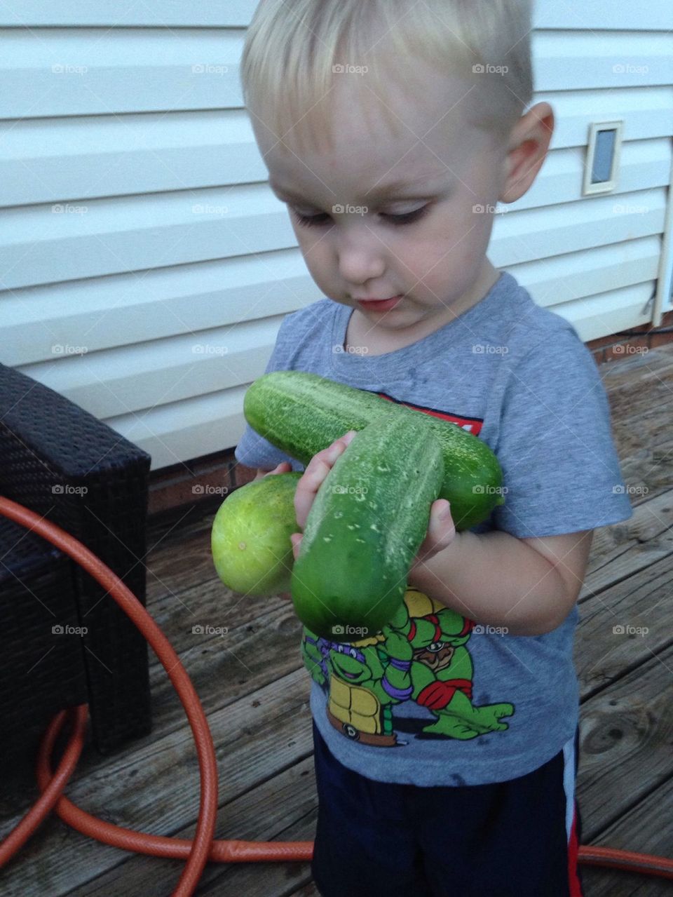 Mini farmer 