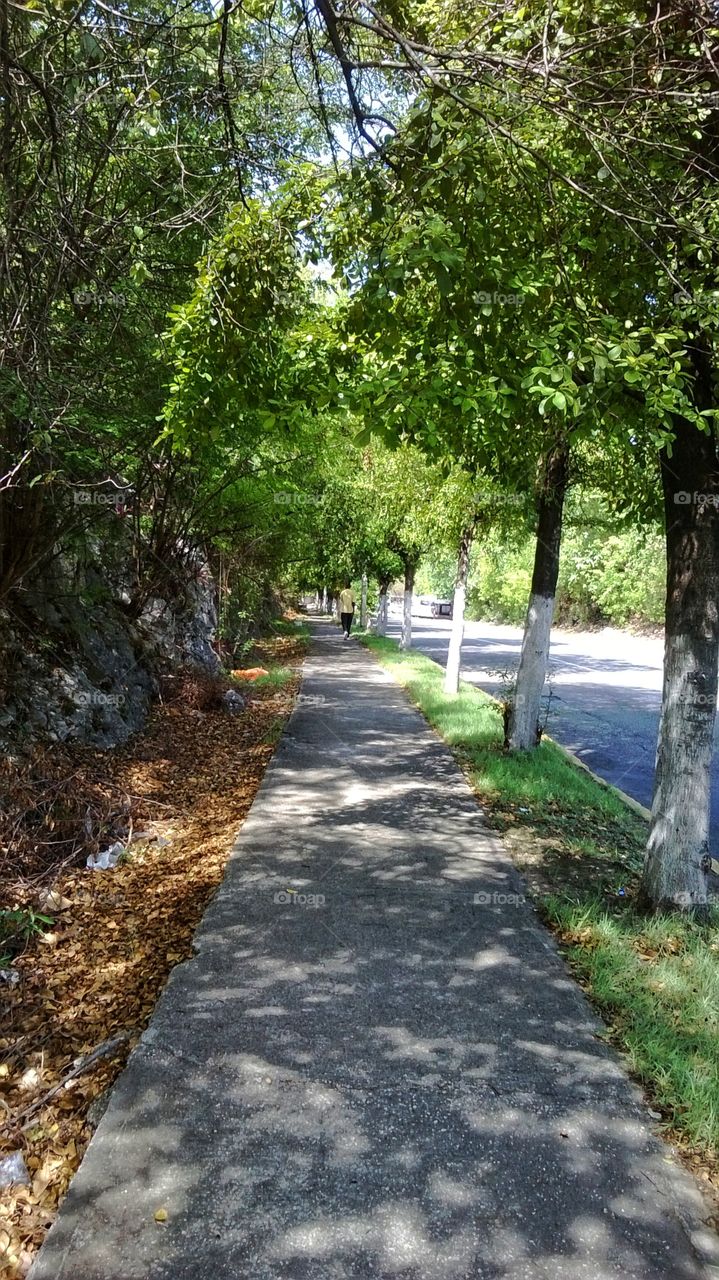 Walking under the Shadows