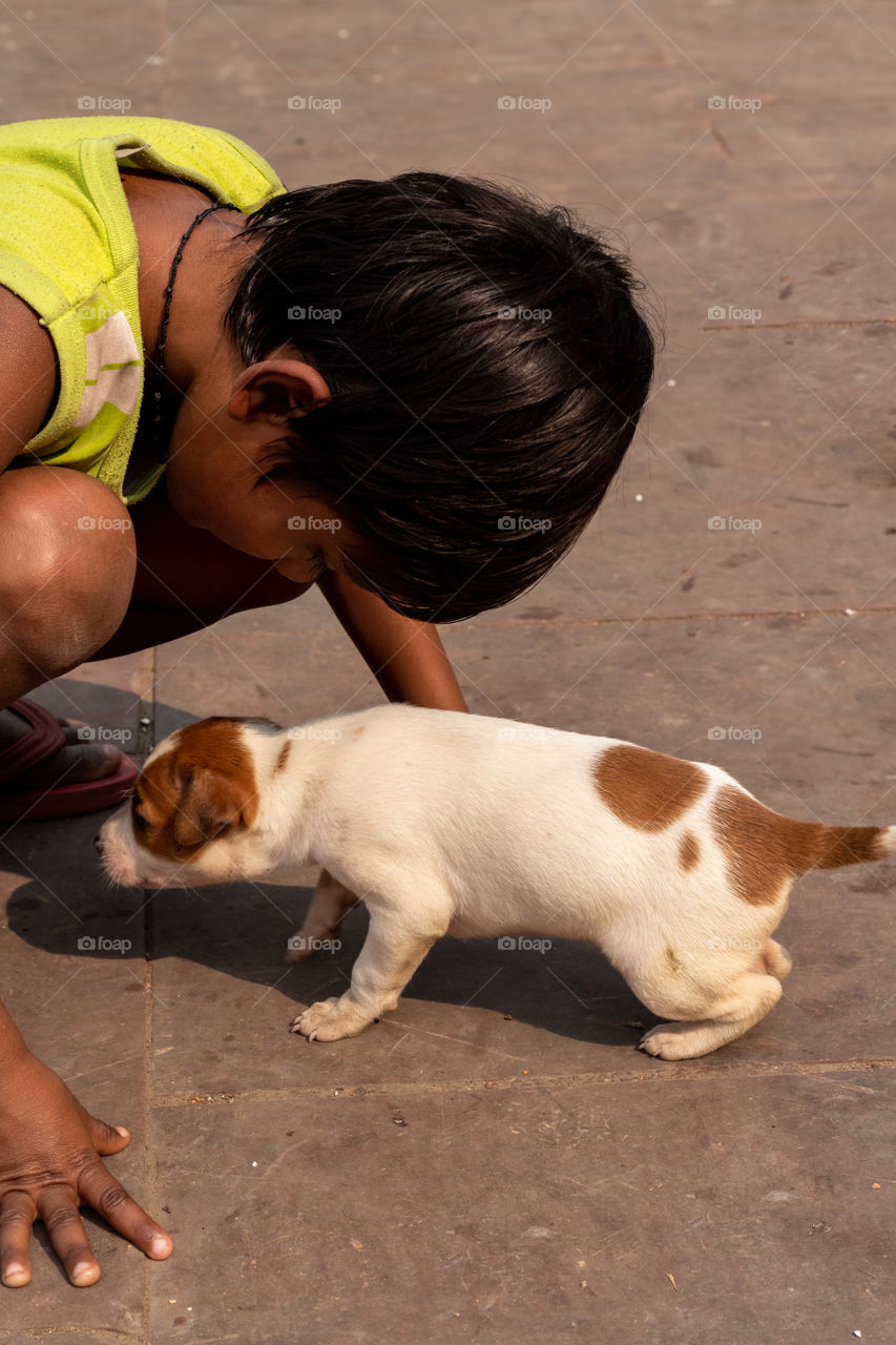 A cute girl is playing with cute little puppy