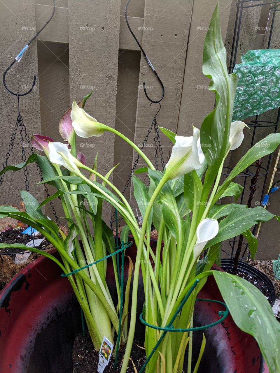 ready for spring 🙌