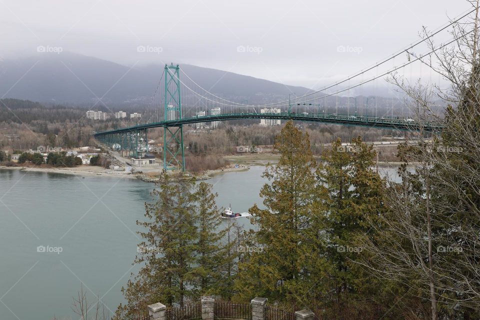 view of the bridge 