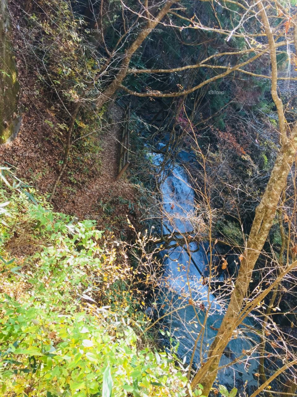 beautiful stream view