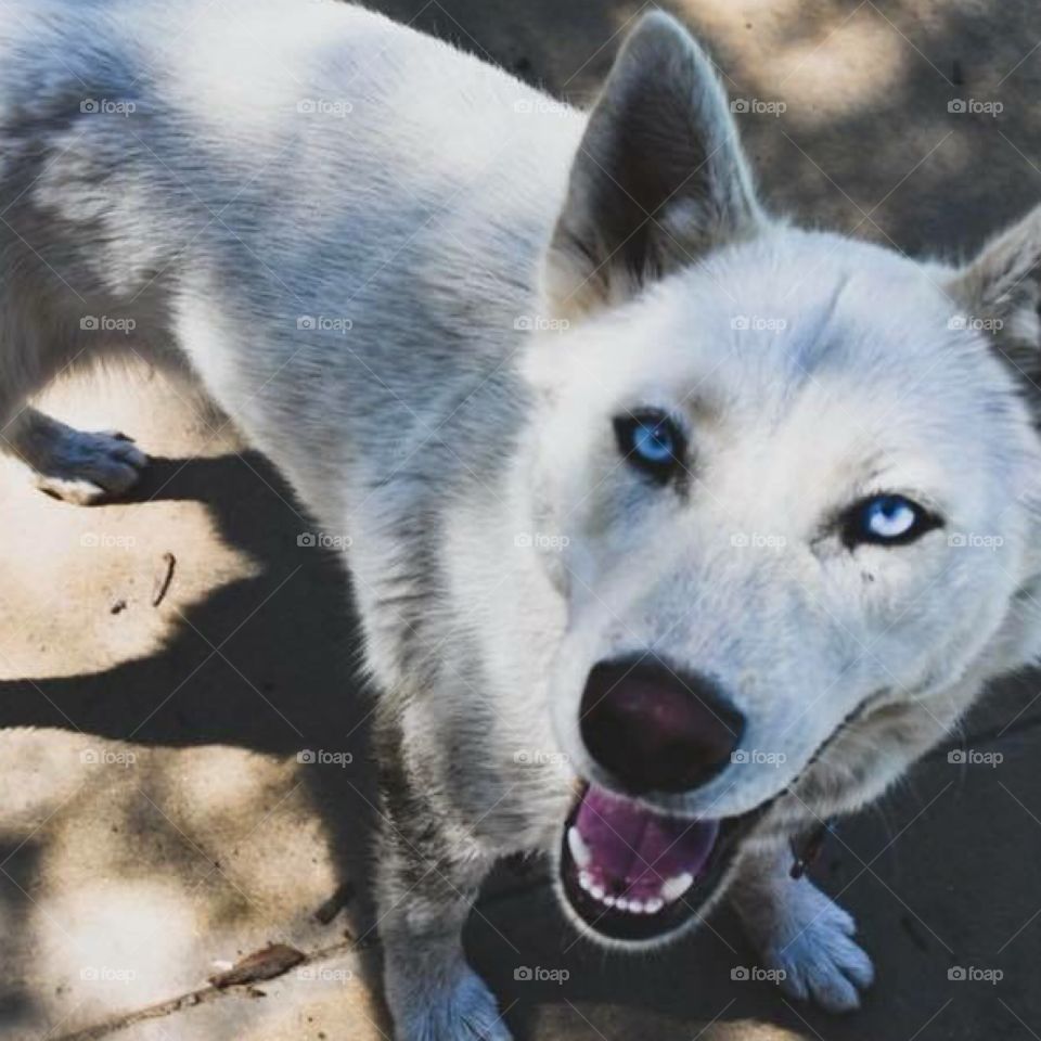 Akira is so gorgeous 