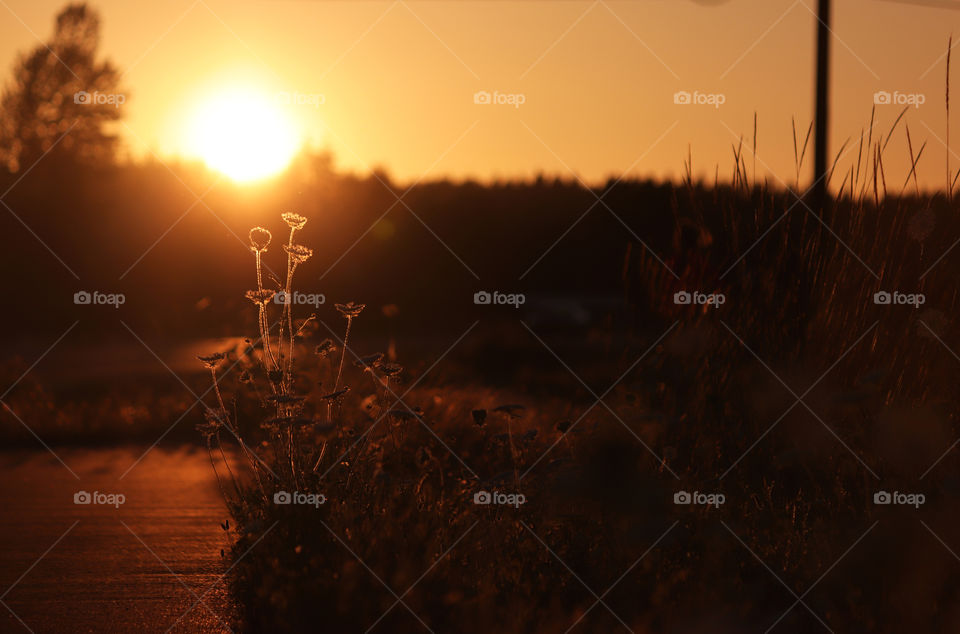 Sunset on the outskirts of town