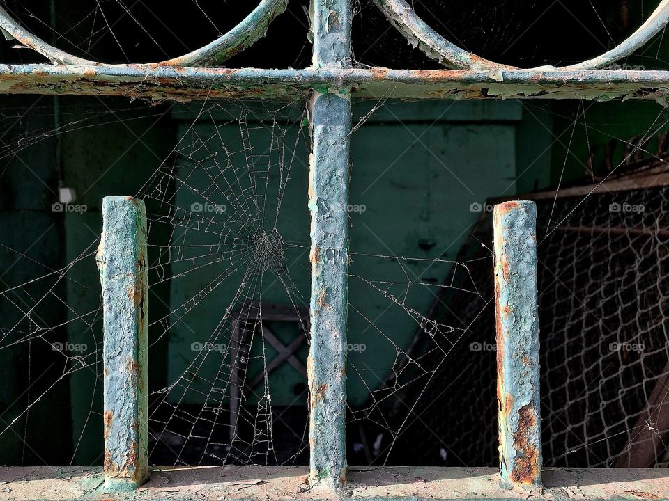 Spider web inside old iron fence.