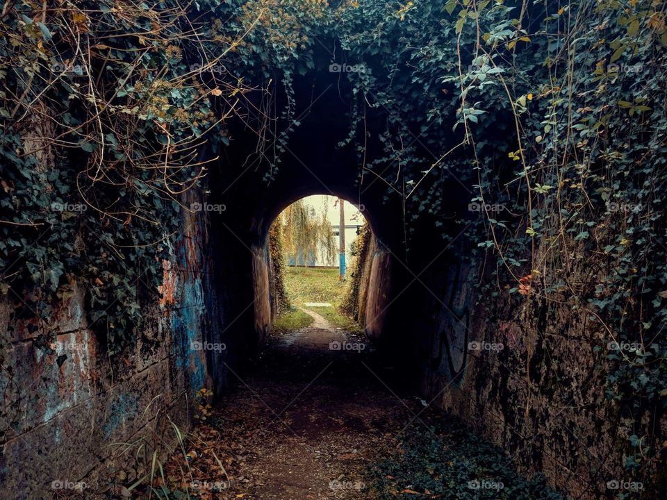 Tunnel