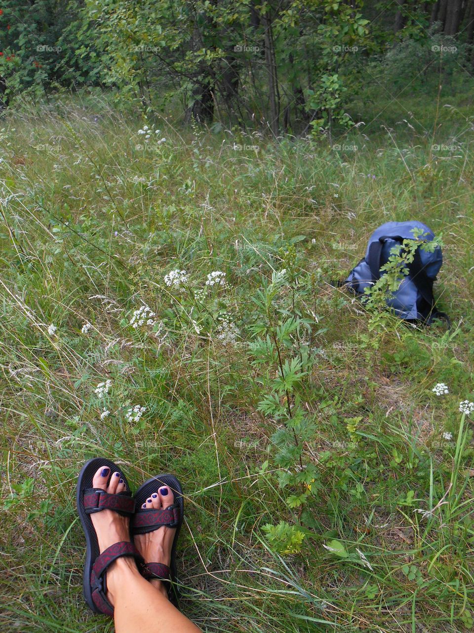 Nature, Grass, Summer, Wood, Girl