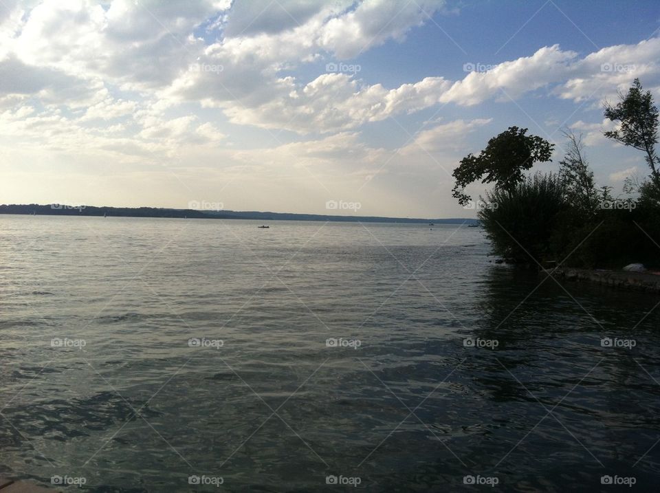 summer tree sunset clouds by Nikita80