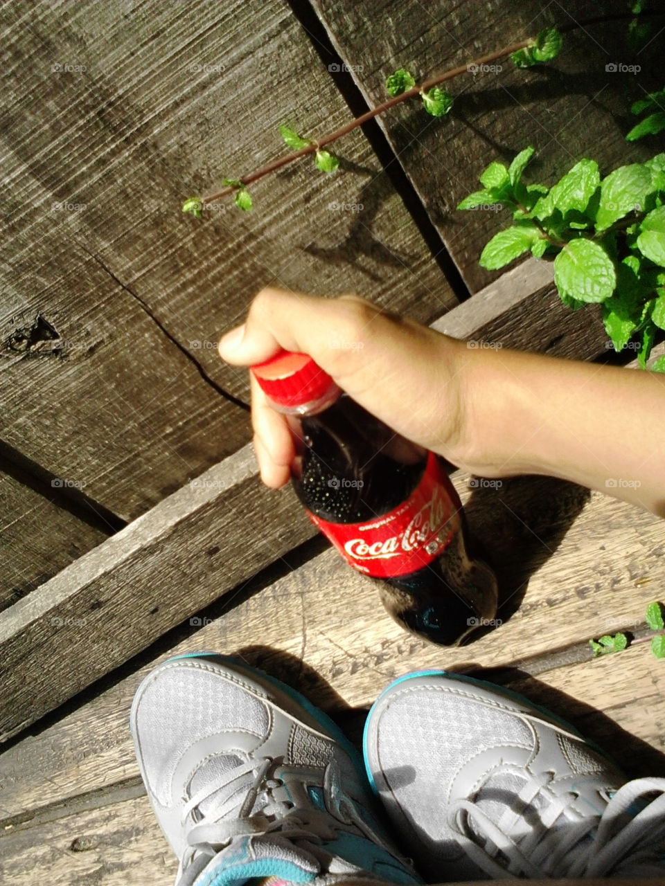 cocacola in your hand