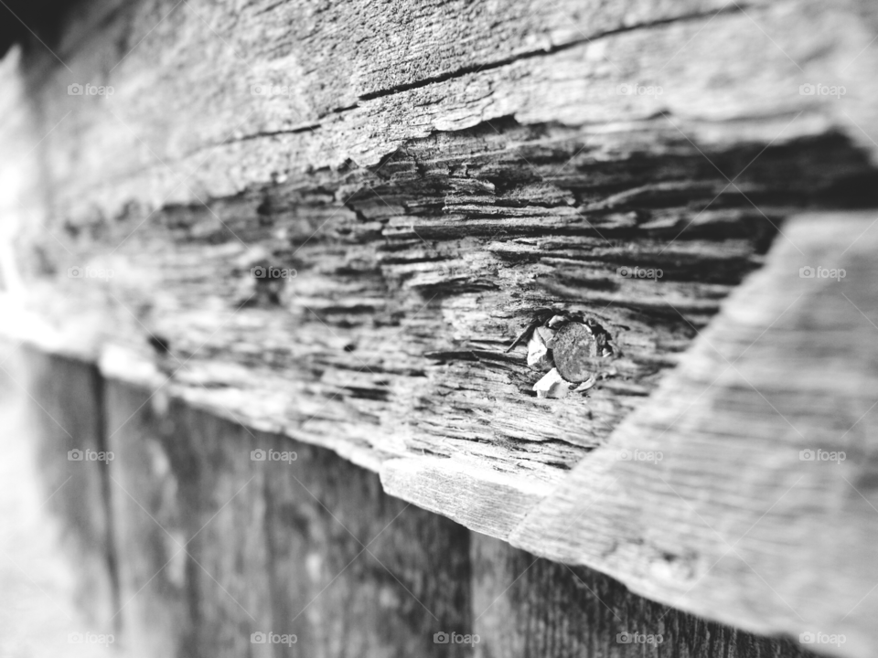 Shutter. Distressed wooden shutter on an old barn.