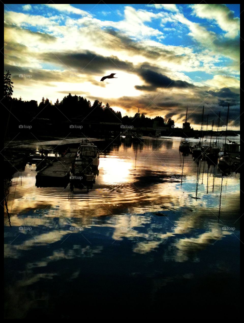 Crab Dock. Crab Dock