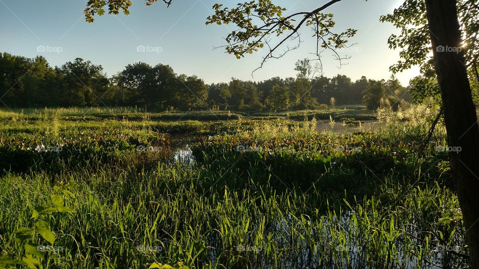Sunrise Over Timber Creek