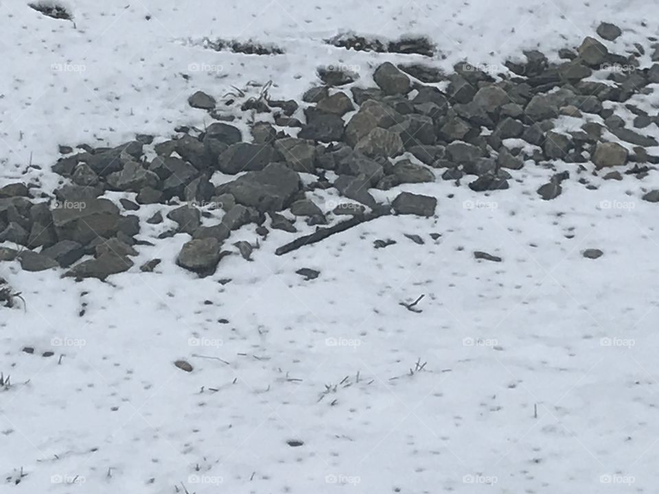 Stones on the street