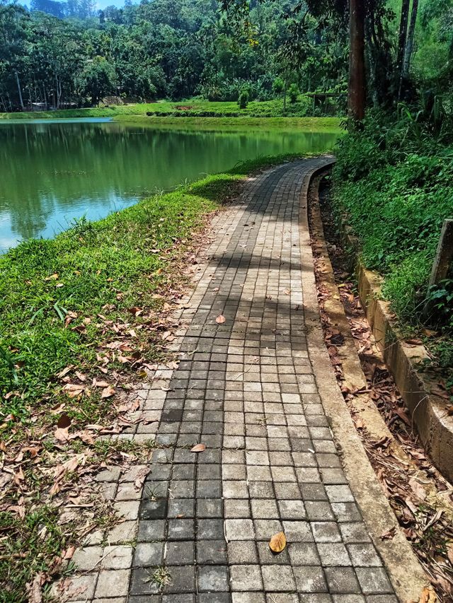 morning walk