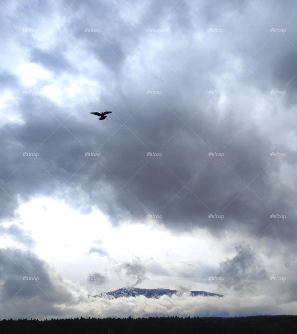 A beautiful scenery in Bulgaria with a bird flying, a cloudy sky giving way to a mountain in the distance and a forest at the bottom of the photo