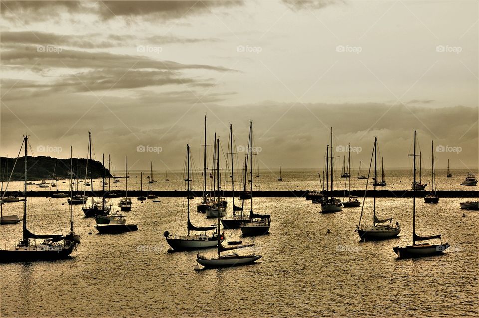 Anchored Sail Boats Vineyard Haven 