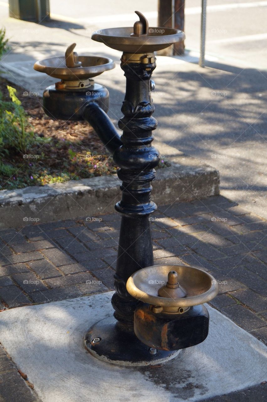 Tri-water fountain