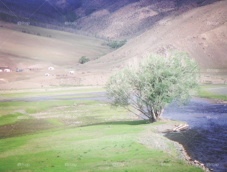 landscape of Mongolia