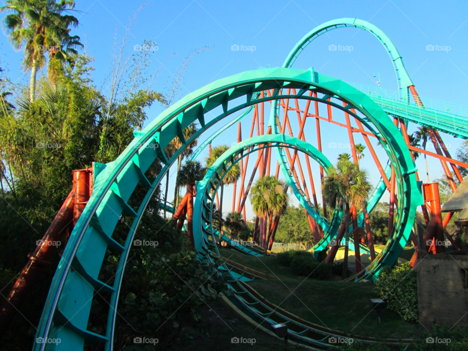 park roller florida rollercoaster by campbell380