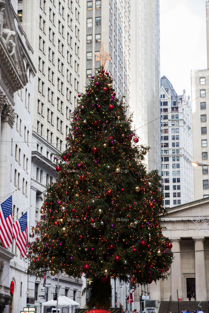 Decorated christmas tree in city