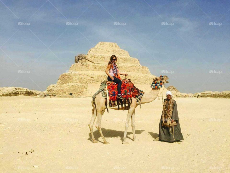 Sand, Camel, Travel, Bedouin, Desert