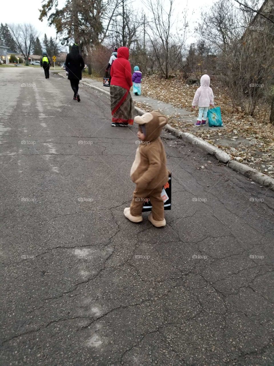 Walking Teddy