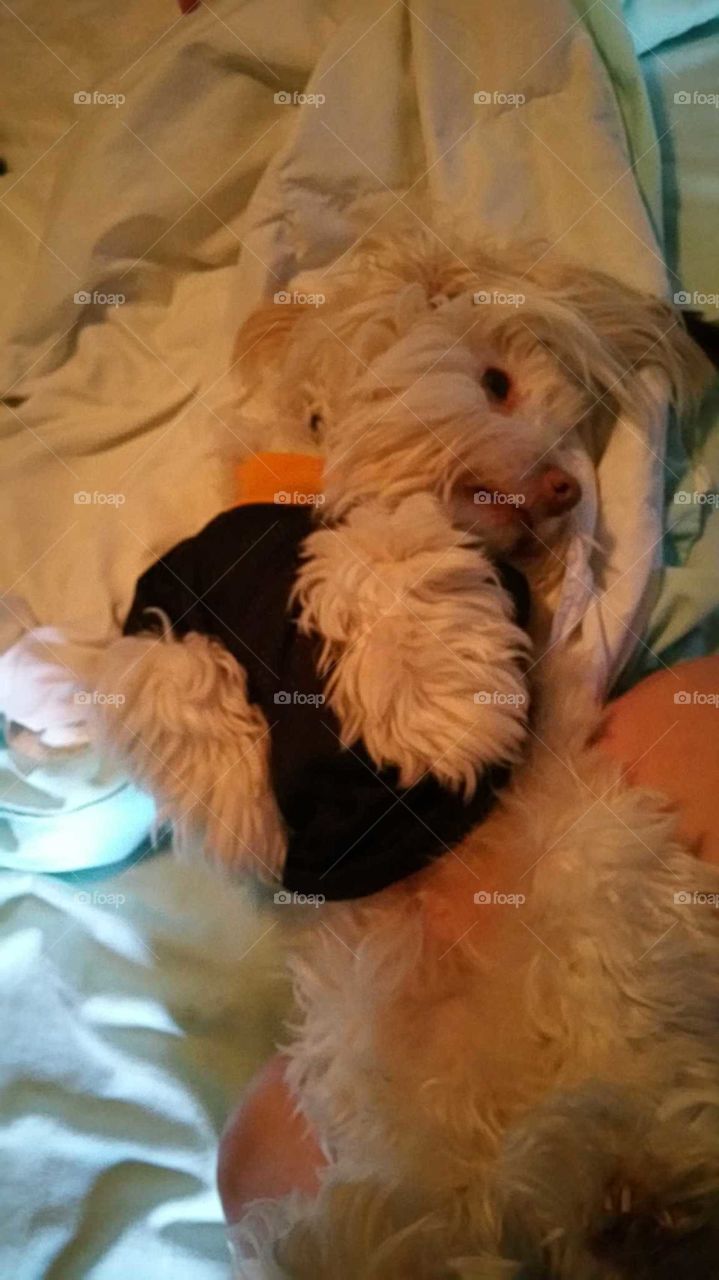 Prince in his Steelers Jersey