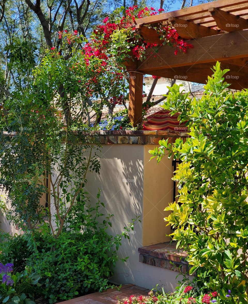 Southwest Architecture in Old Scottsdale