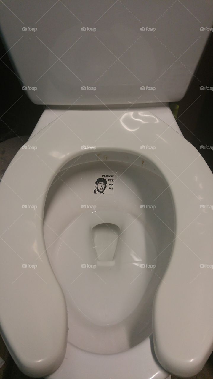 toilet trump