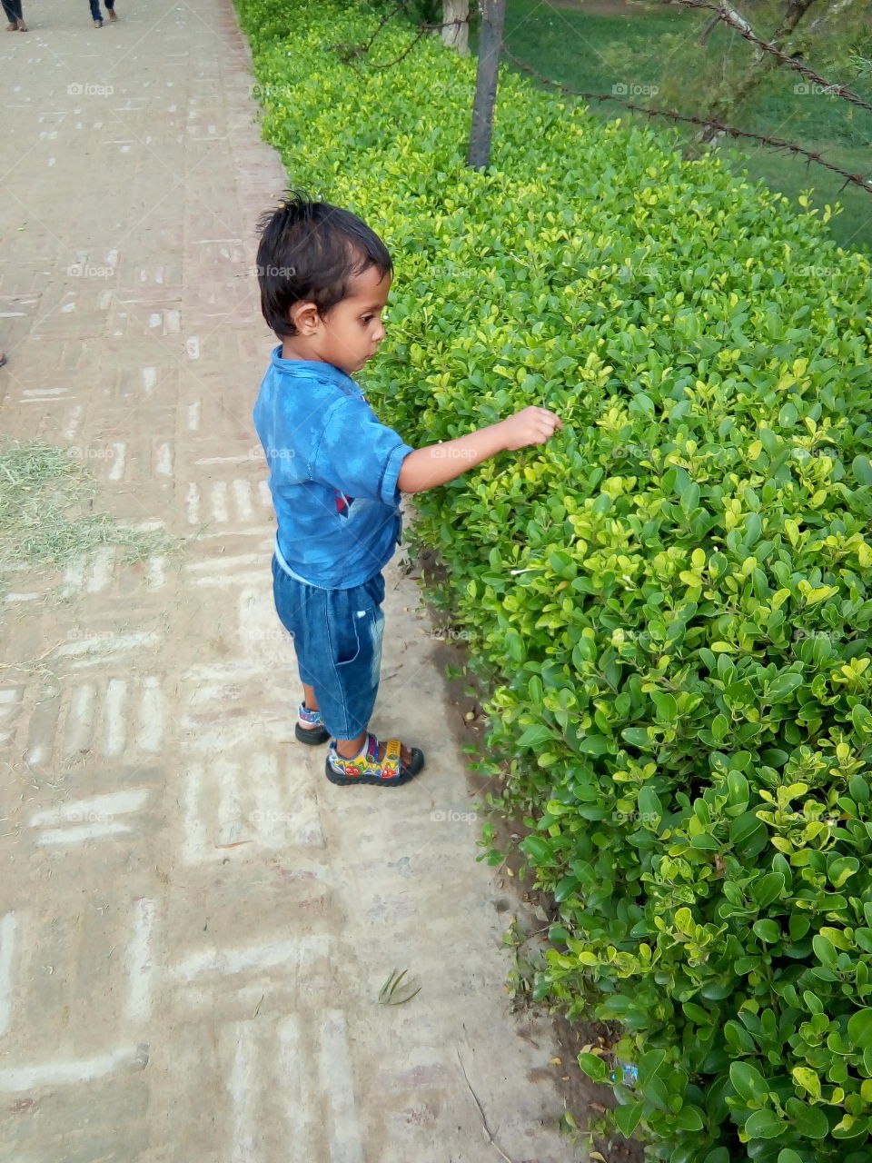 a little boy playing in an ancient fort of Bathinda city- a monument protected by Govt Of India- inner part