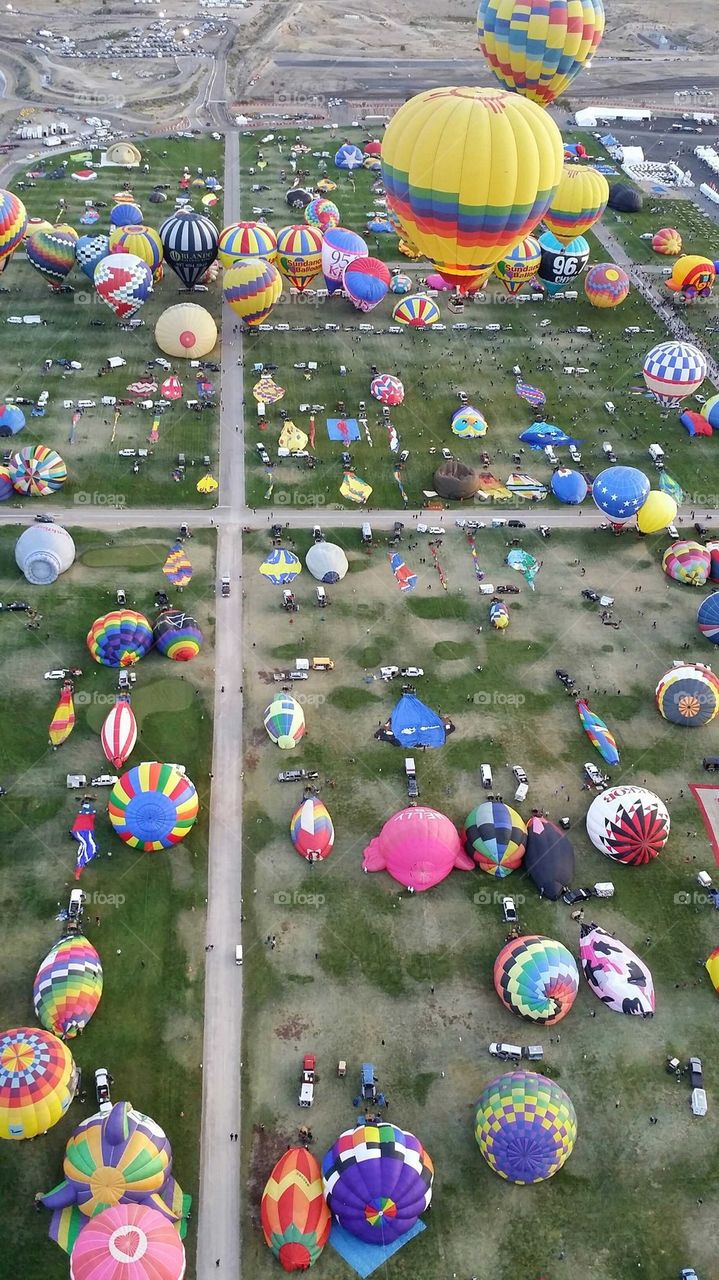 Balloons Galore