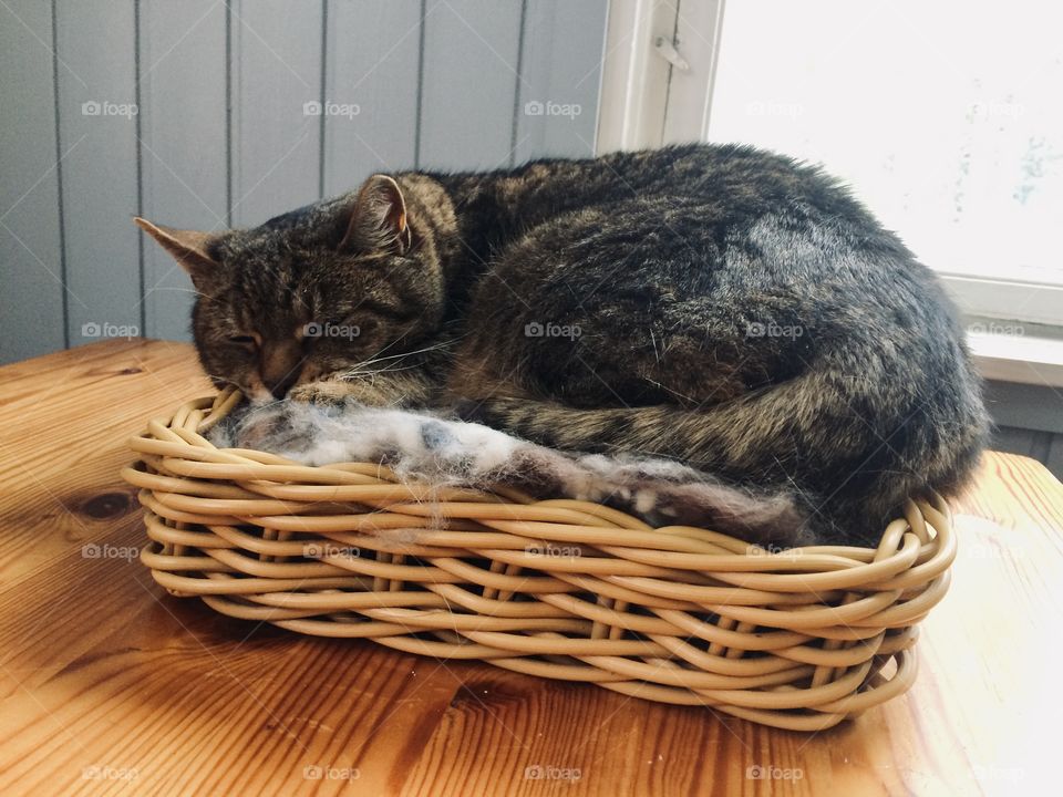 Cosying inside When its cold 